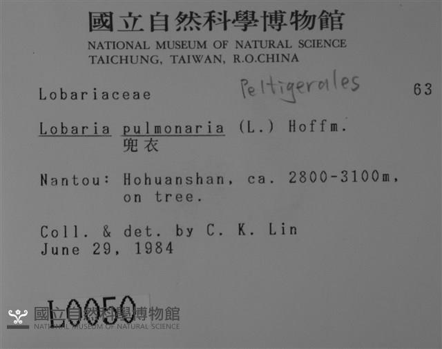 兜衣藏品圖，第2張