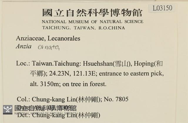 登錄號:L00003150藏品圖，第2張