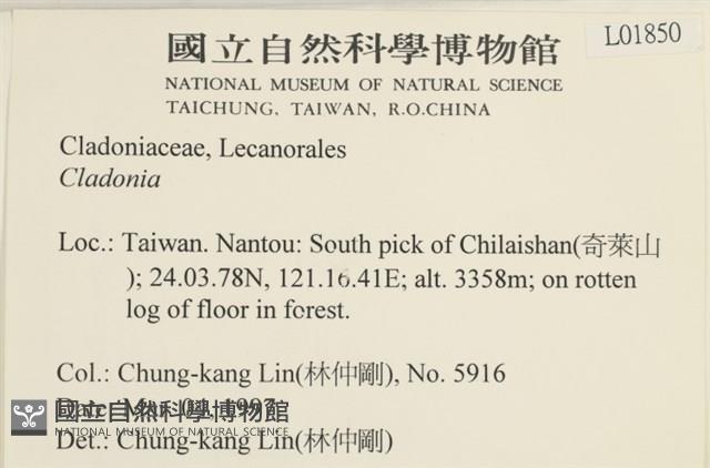 登錄號:L00001850藏品圖，第2張