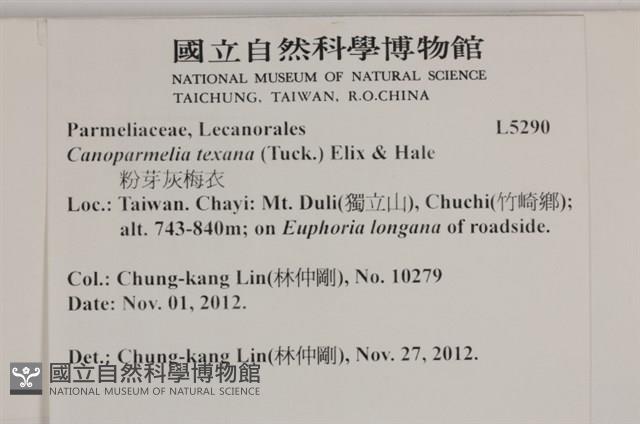 登錄號:L00005290藏品圖，第2張