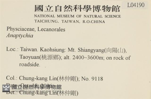 登錄號:L00004190藏品圖，第2張