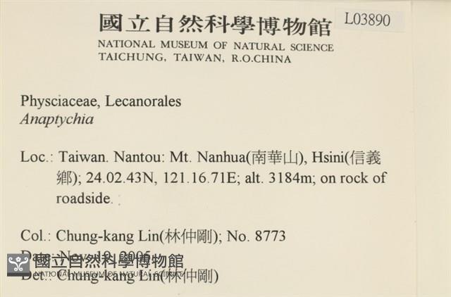 登錄號:L00003890藏品圖，第2張