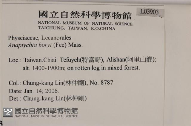 登錄號:L00003903藏品圖，第2張