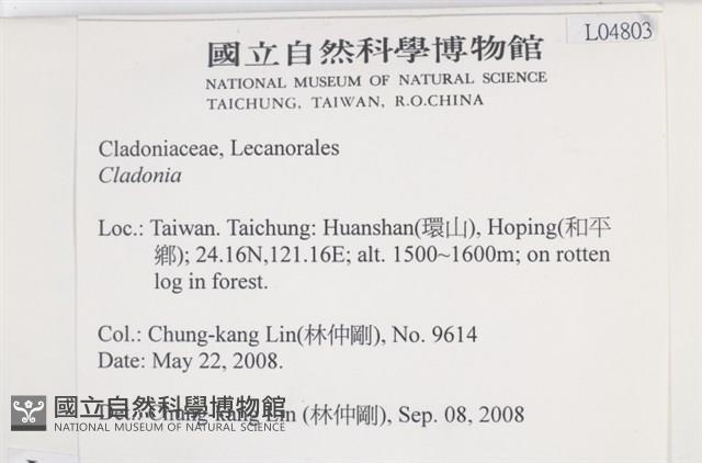 登錄號:L00004803藏品圖，第2張