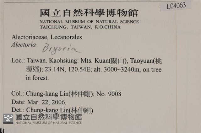 登錄號:L00004063藏品圖，第2張