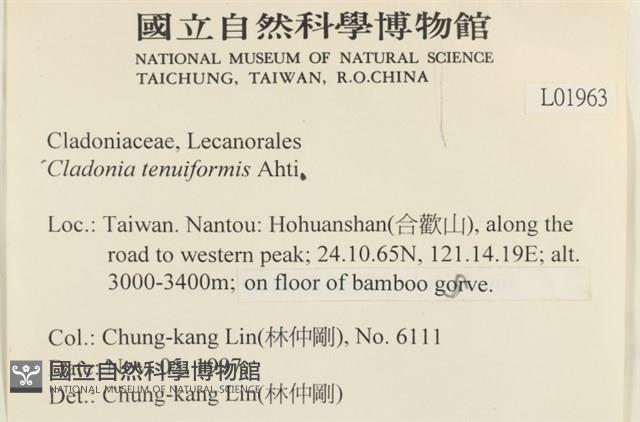 登錄號:L00001963藏品圖，第2張