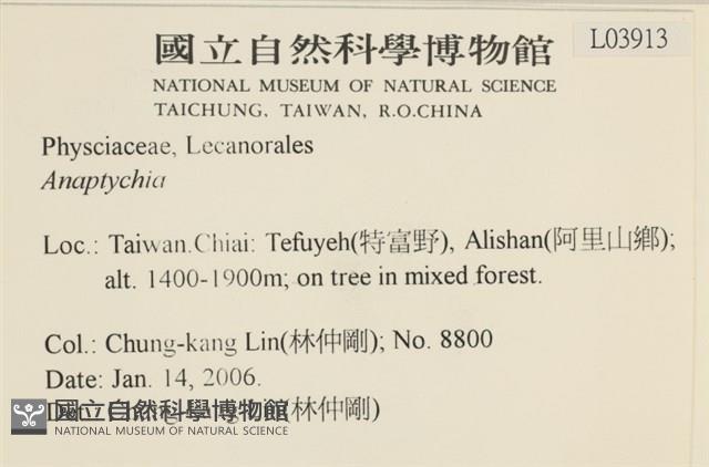 登錄號:L00003913藏品圖，第2張