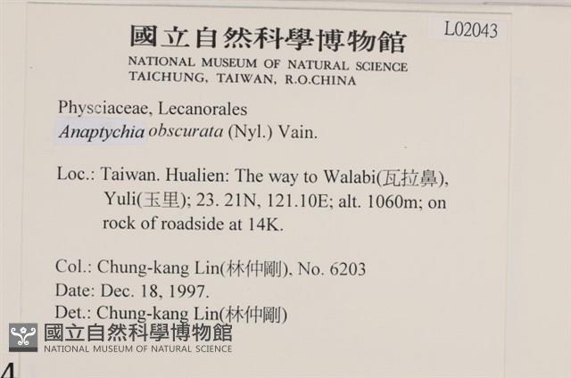 登錄號:L00002043藏品圖，第2張