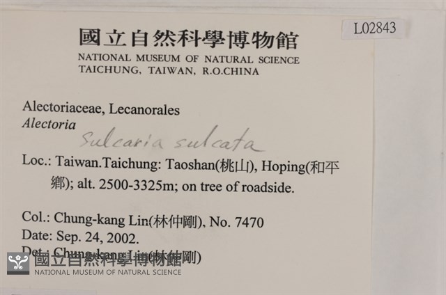 登錄號:L00002843藏品圖，第2張