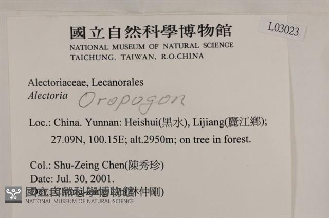 登錄號:L00003023藏品圖，第2張