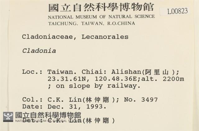 登錄號:L00000823藏品圖，第2張