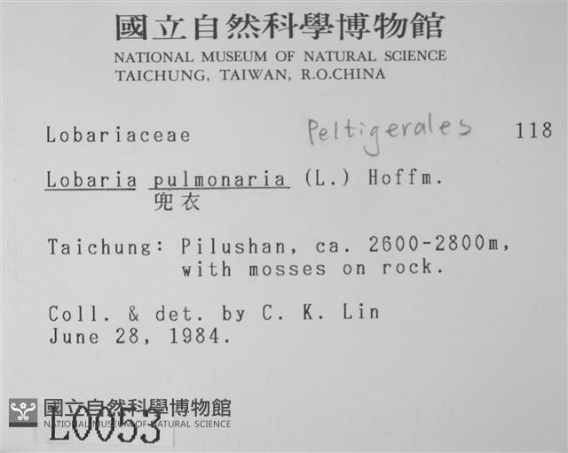 兜衣藏品圖，第2張