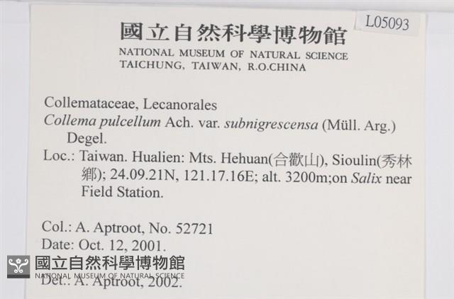 登錄號:L00005093藏品圖，第2張