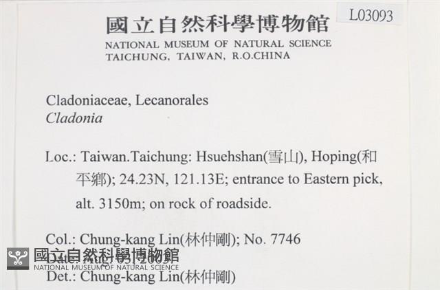 登錄號:L00003093藏品圖，第2張