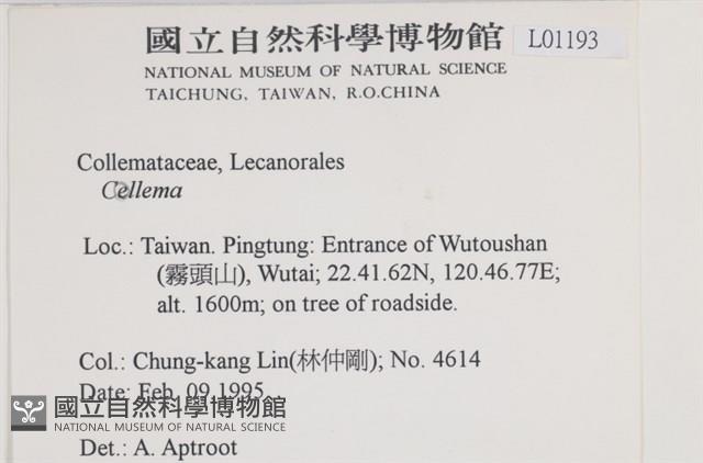 登錄號:L00001193藏品圖，第2張