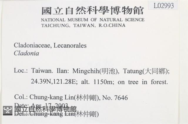 登錄號:L00002993藏品圖，第2張