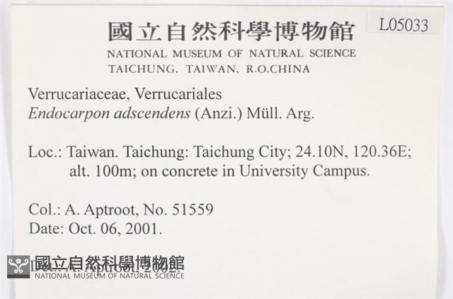 登錄號:L00005033藏品圖，第2張