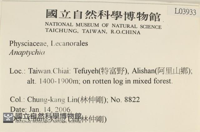 館號:L00003933藏品圖，第2張