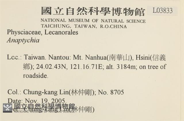 登錄號:L00003833藏品圖，第2張