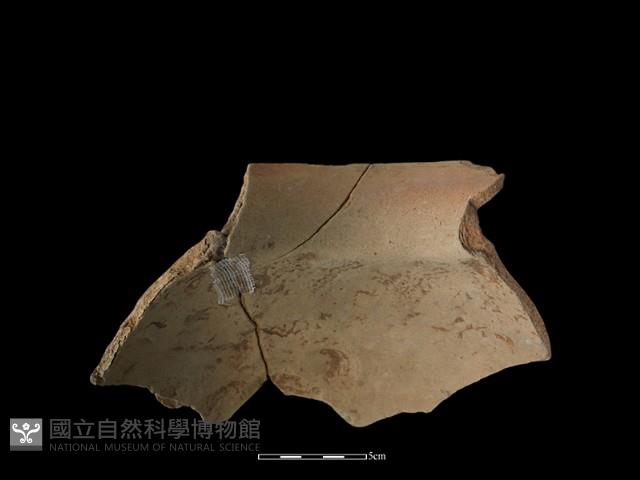 陶罐藏品圖，第5張