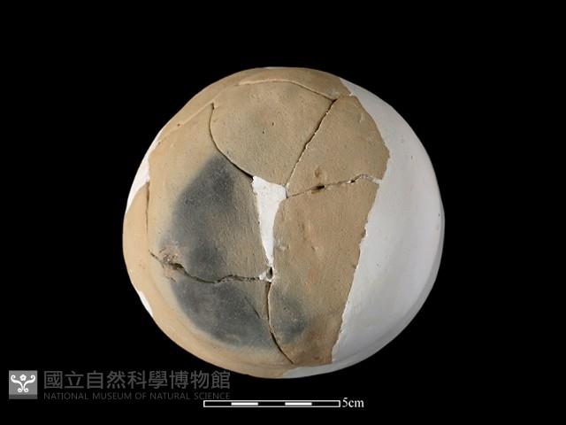陶蓋藏品圖，第5張