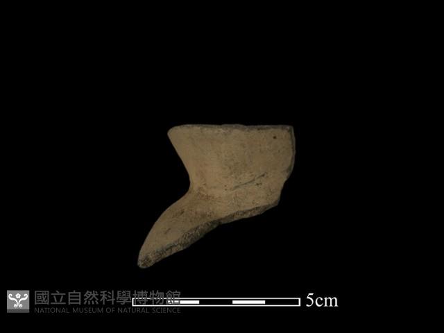 陶片藏品圖，第5張