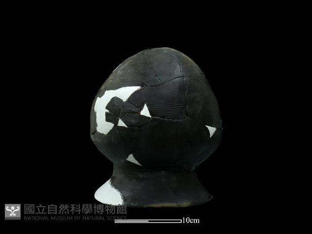 陶罐藏品圖，第5張