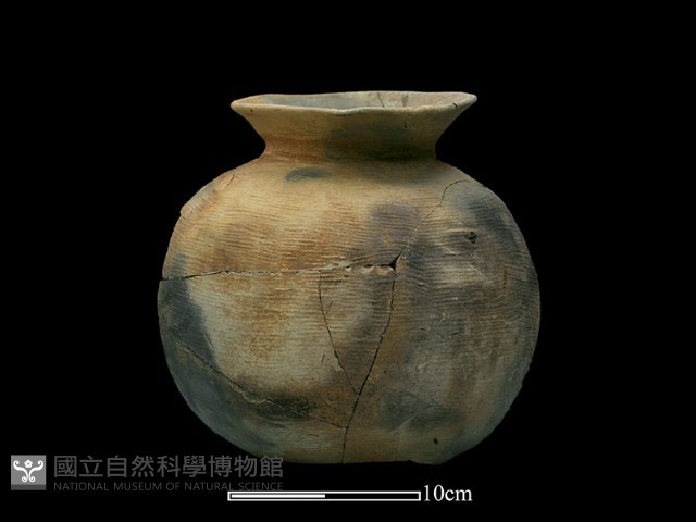 陶罐藏品圖，第1張