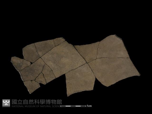 陶片藏品圖，第3張