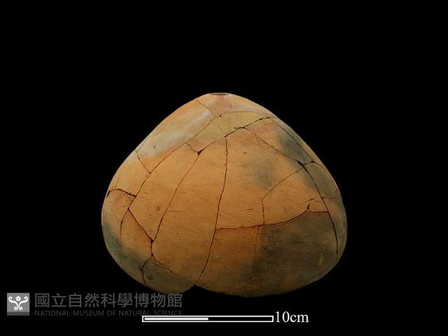 陶甑藏品圖，第1張