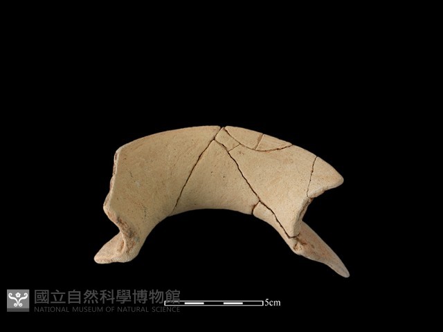 陶罐藏品圖，第3張