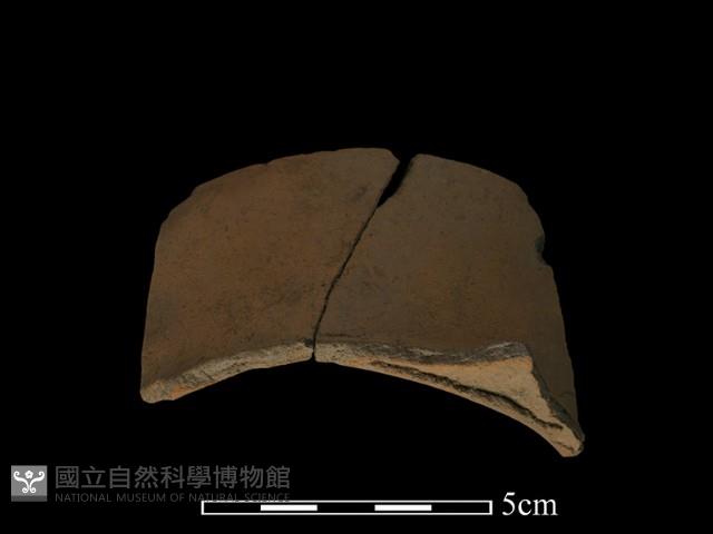 陶片藏品圖，第3張