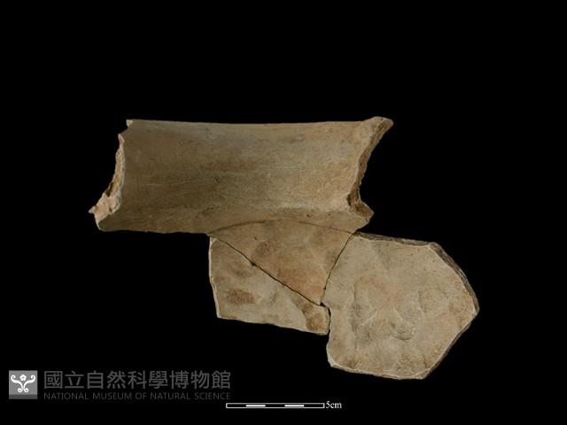 陶罐藏品圖，第3張