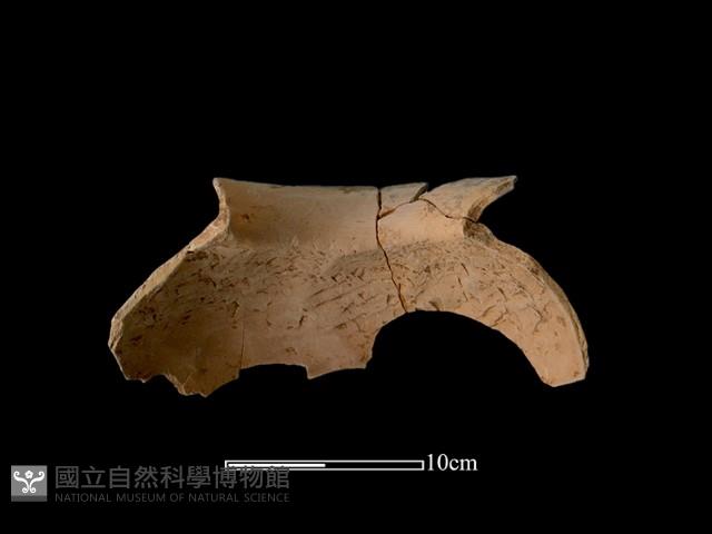 陶罐藏品圖，第3張