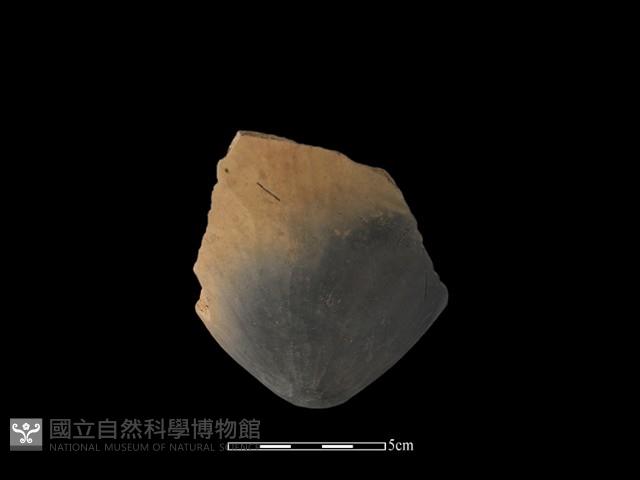 陶罐藏品圖，第1張