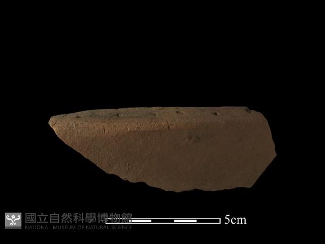 陶片藏品圖，第3張