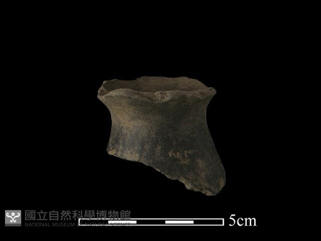 陶片藏品圖，第3張