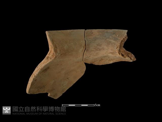 陶罐藏品圖，第3張