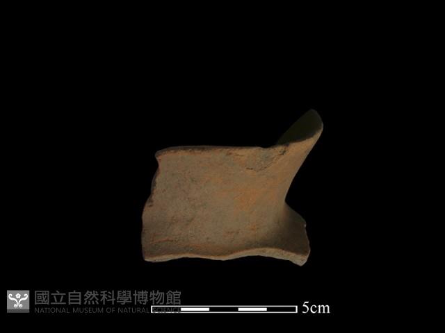 陶片藏品圖，第1張