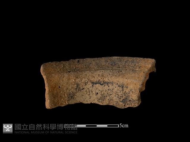 陶片藏品圖，第3張