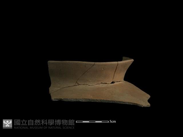 陶片藏品圖，第4張