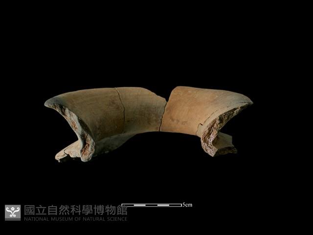 陶罐藏品圖，第1張