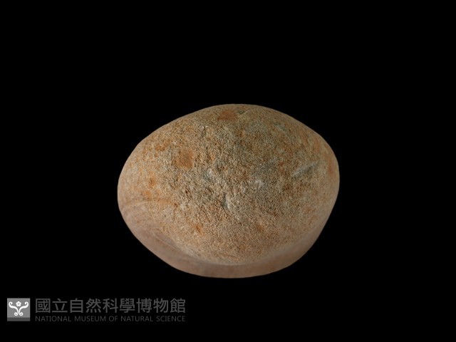 陶片藏品圖，第1張