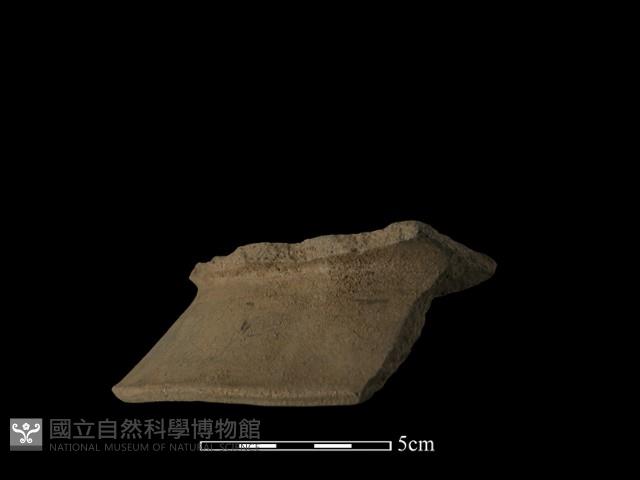 陶片藏品圖，第3張