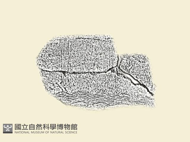 陶片藏品圖，第3張