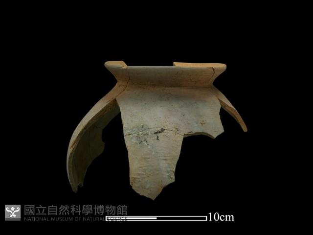 陶罐藏品圖，第3張