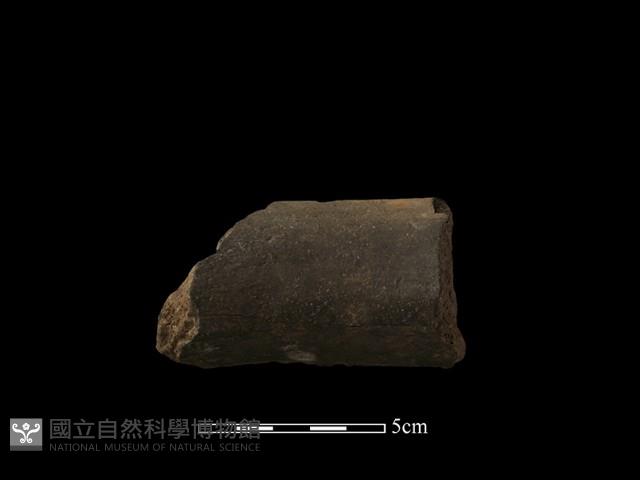 陶罐藏品圖，第3張