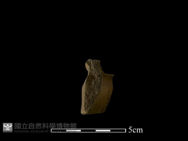 陶片藏品圖，第1張