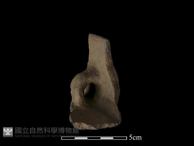 陶片藏品圖，第3張