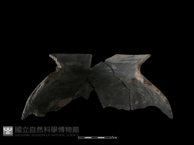 陶罐藏品圖，第3張